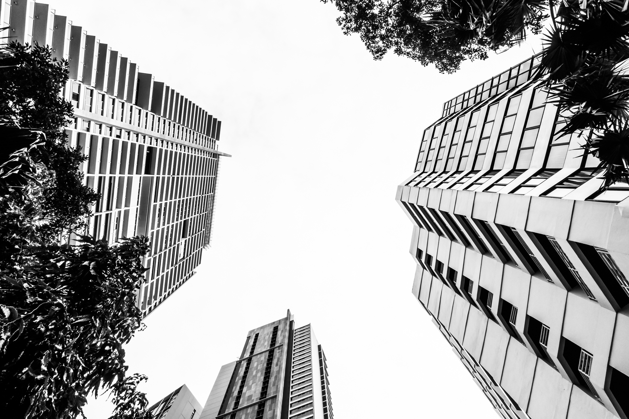 Perspectives Verticales